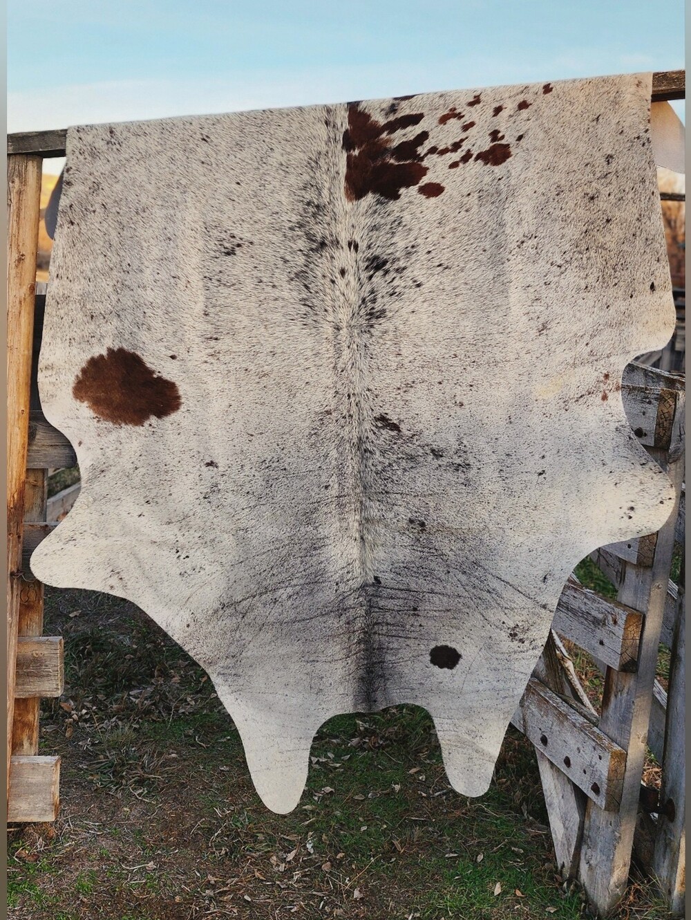 Stunning Brazilian Gray, Black and Brown Splatter Cowhide Rug.